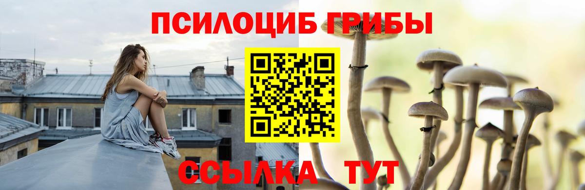 Галлюциногенные грибы Psilocybine cubensis  Вход с VPN  Зеленогорск 